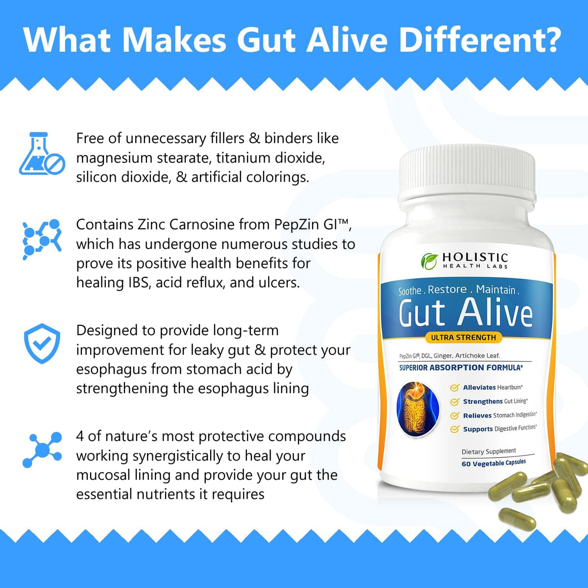 Holistic Health Labs Gut Alive Supplement – Gut Lining & Digestive Health Support